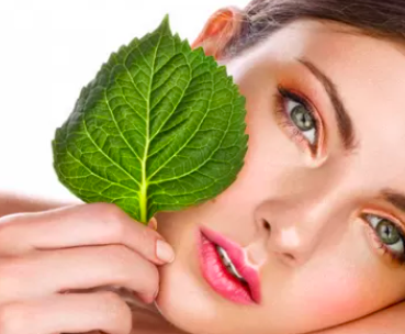 Linda Liguori tweet media