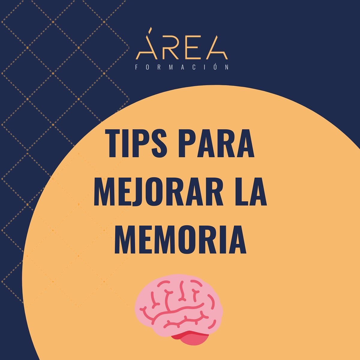 AreaFormacion's tweet photo. ¡En Área Formación creemos que para poder sacar el máximo rendimiento a tus estudios y estar al 💯 en clase, estos tips te pueden venir muy bien! 😊

Por eso te dejamos aquí algunos pasos a seguir para mejorar tu memoria🙇🏻‍♂️📚

#tipsmemoria 
#estudio
#cursosgratuitos https://t.co/9Yo2isHJNC