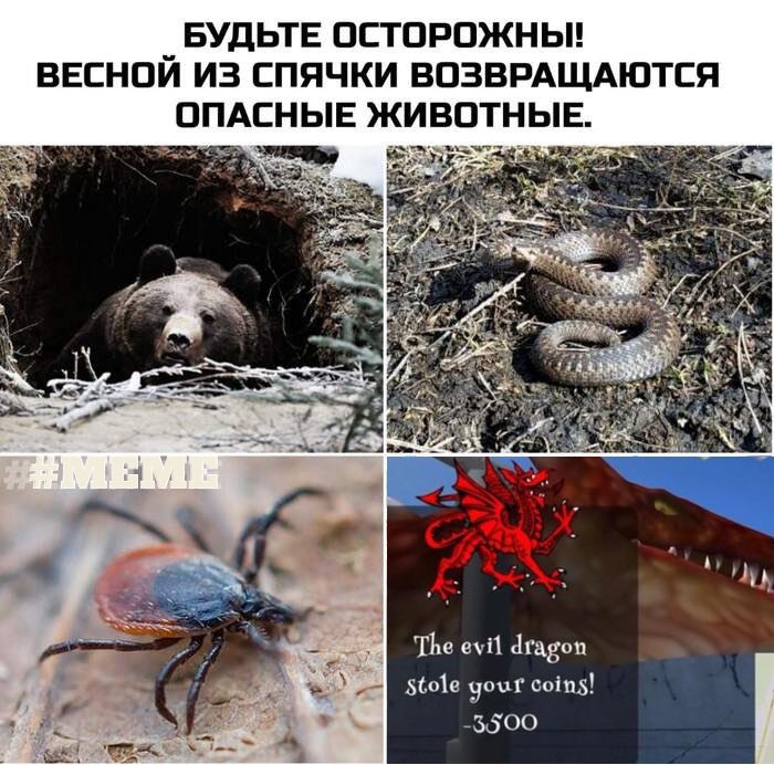 #Arcona #metaverse #AugmentedRealit #meme