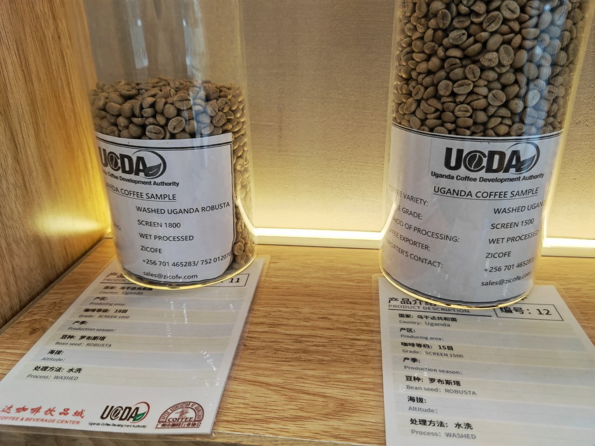 On March 17th this year, We submitted samples for cupping at the Uganda Coffee day which was held at Jinda Coffee & Beverage Center, Guangzhou. 
After cupping, our robusta's scored the highest.

 #zigoticoffee #zicofe #coffee  #coffeetime #coffeelover #coffeeexpo #coffeecupping