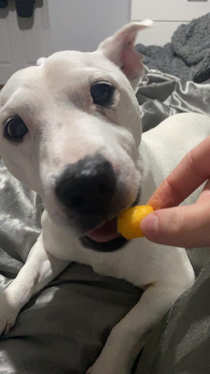 LB (@skiddy_siddy) on Twitter photo 