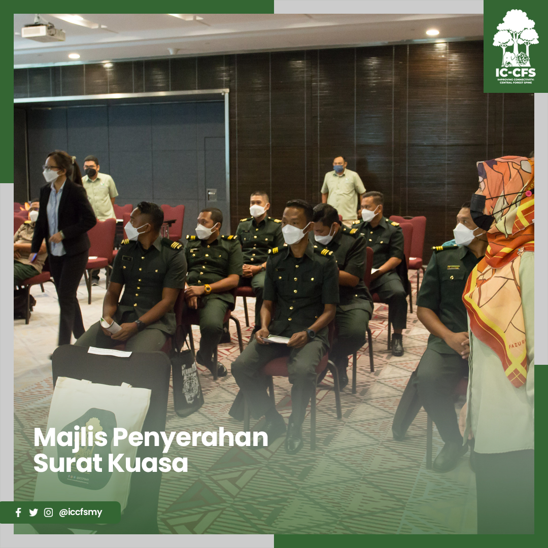 ICCFSMY's tweet photo. This enforcement between the State Forestry Departments of Johor, Pahang, and Perak, @PERHILITAN, Johor National Parks and Perak State Parks Corporation will efficiently implement the Wildlife Conservation Act 2010 (Act 716)
#ICCFS #CentralForestSpine https://t.co/XeBatJOjQd