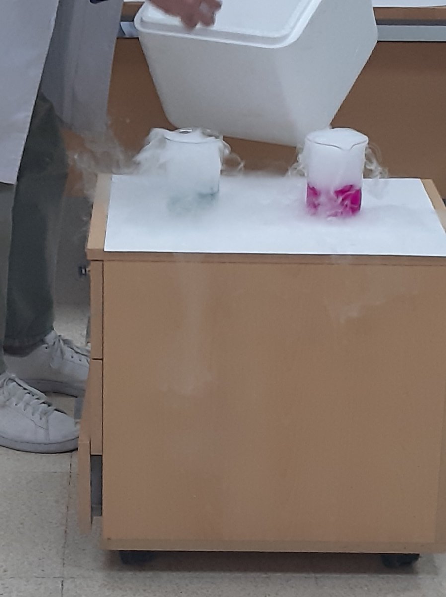 iesbporcel's tweet image. "Avui els alumnes de 1r bat A han anat a la @UIBuniversitat i visitat el #Demolab. Taller de química i cuina, esferificacions, N2 líquid, gel sec, pH..."