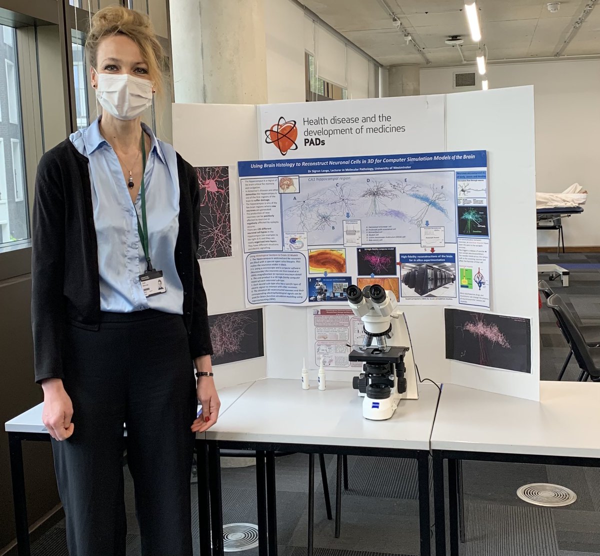 PADs_CNS's tweet photo. Finalising setup for our #outreach day and looking forward to receiving 2ndary school students #science4U to discuss #Science4Regeneration @WeAreWmin @LifeSciWestmin @UniWestminster https://t.co/nDIQMpYW61
