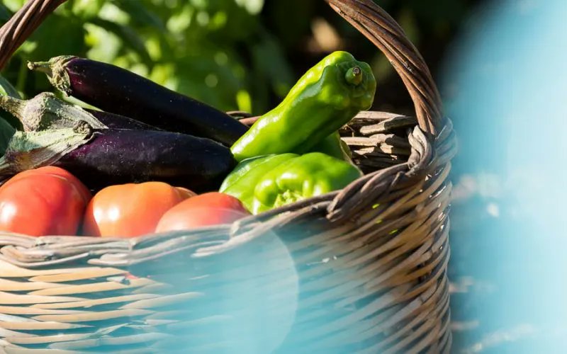 𝗚𝗿𝗲𝗲𝗸 𝗰𝗼𝗼𝗸𝗲𝗿𝘆 𝗵𝗼𝗹𝗶𝗱𝗮𝘆 𝗶𝗻 𝗣𝗼𝗿𝗼𝘀
* Hands-on classes
* Visit the lively local fish market &amp; olive groves
* Guided visit to the lively local fish market to select fresh produce.
* Incl 4 days of cookery lessons

buff.ly/3dqrr1A