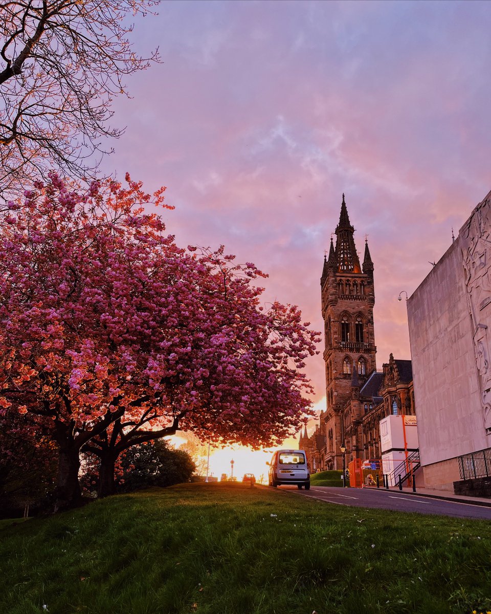 Sunsets on campus just hit different 😍🌸
We're so lucky to call this place home. 

#Sunset #UofG #UniversityofGlasgow #AdamSmithBusinessSchool #Glasgow @UofGlasgow @UofGSocSci