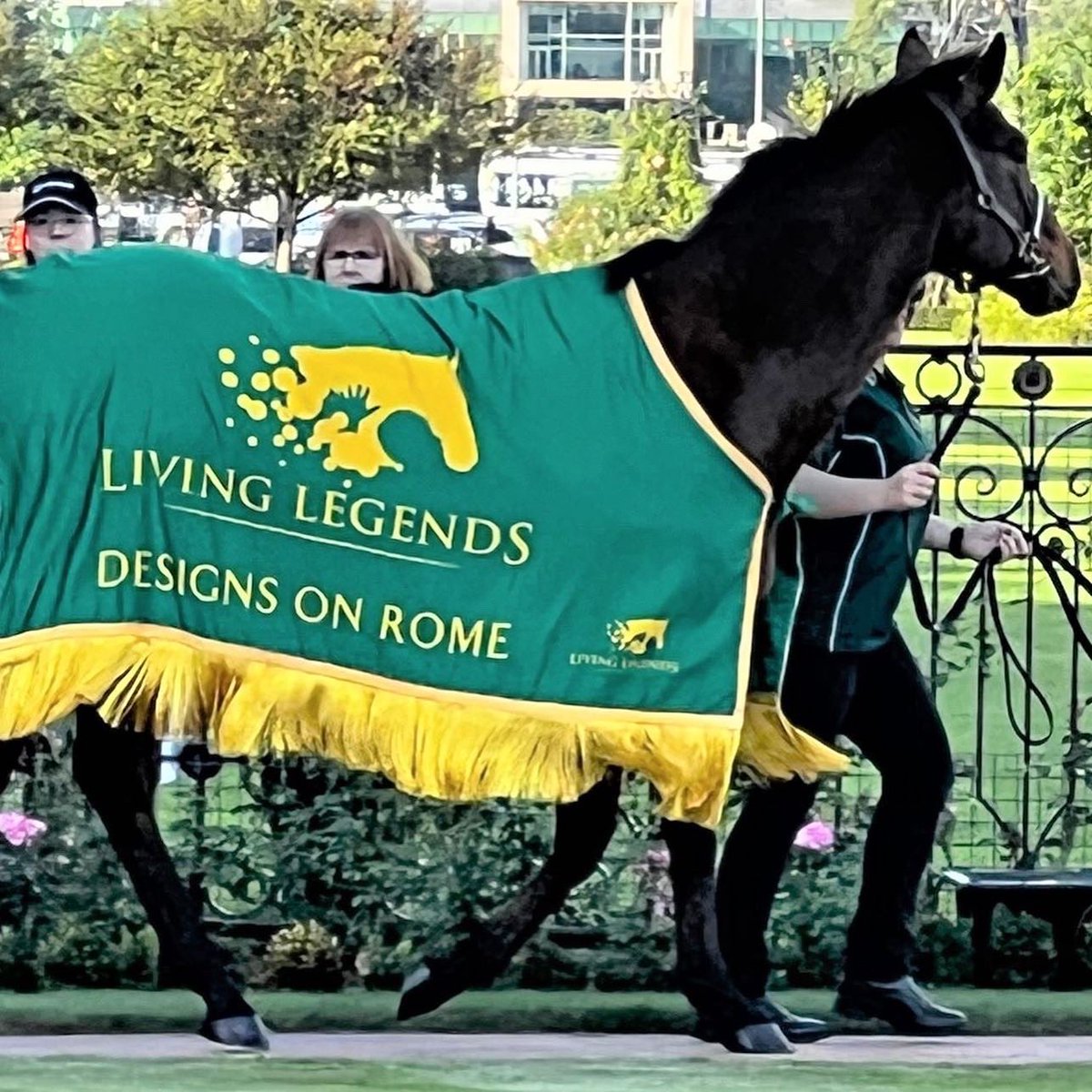 LivingLegendsAU's tweet photo. Designs On Rome (@HKJC_Racing Horse of the Year 2014) enjoyed his 1st race day outing to @FlemingtonVRC for the ANZAC Day Race Day.

It was lovely to have Rachel with him, Designs On Rome is her favourite and they share a special connection.

Lots of fun, check out the last pic! https://t.co/cM9zOEEbWd