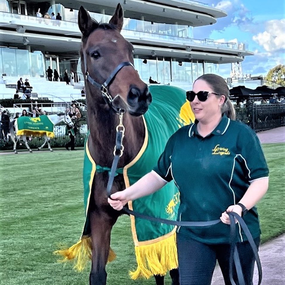 LivingLegendsAU's tweet photo. Designs On Rome (@HKJC_Racing Horse of the Year 2014) enjoyed his 1st race day outing to @FlemingtonVRC for the ANZAC Day Race Day.

It was lovely to have Rachel with him, Designs On Rome is her favourite and they share a special connection.

Lots of fun, check out the last pic! https://t.co/cM9zOEEbWd