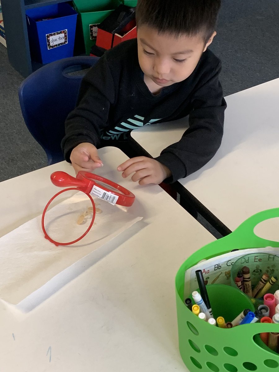 Kathleen O'Shea tweet media