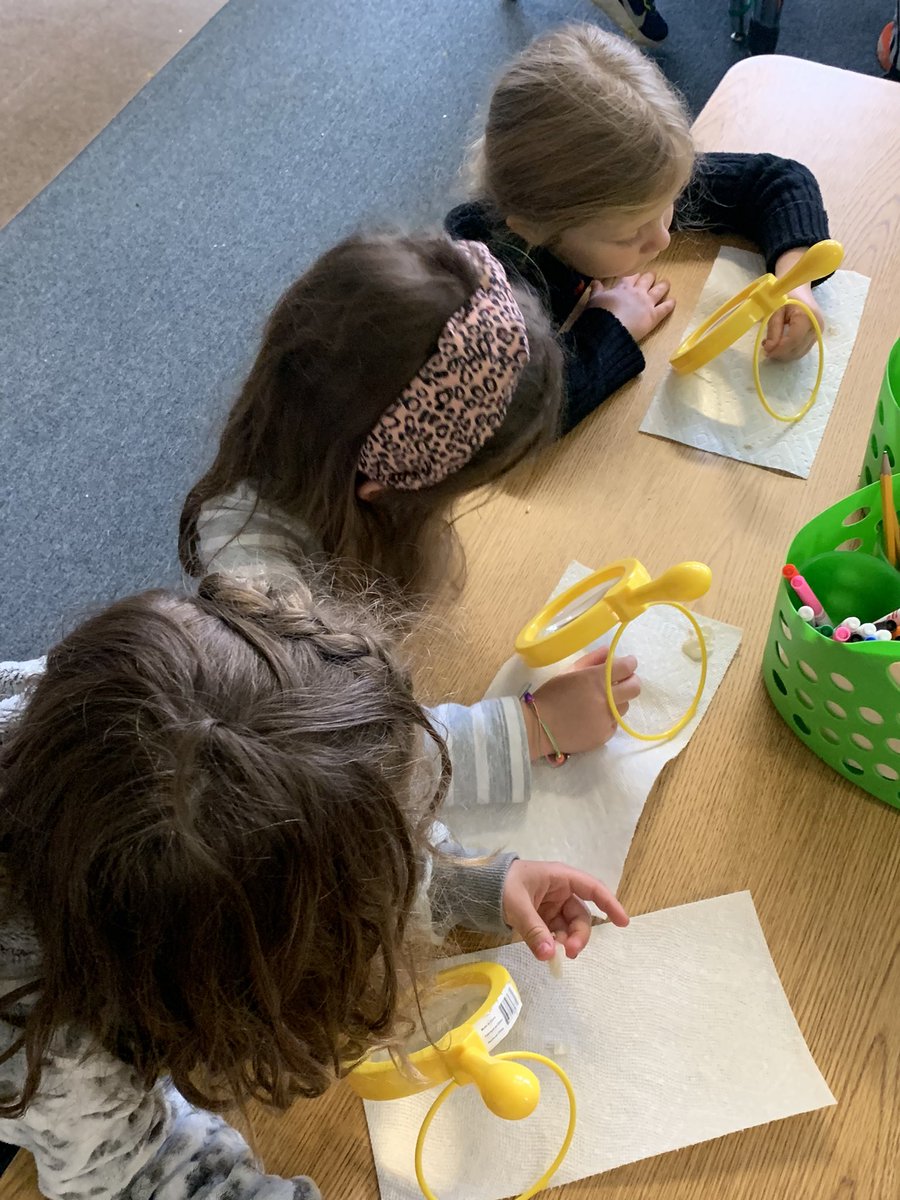 Kathleen O'Shea tweet media