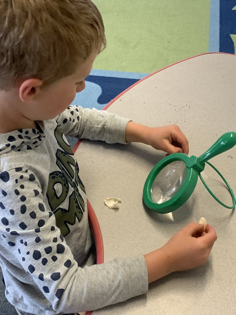 Kathleen O'Shea tweet media