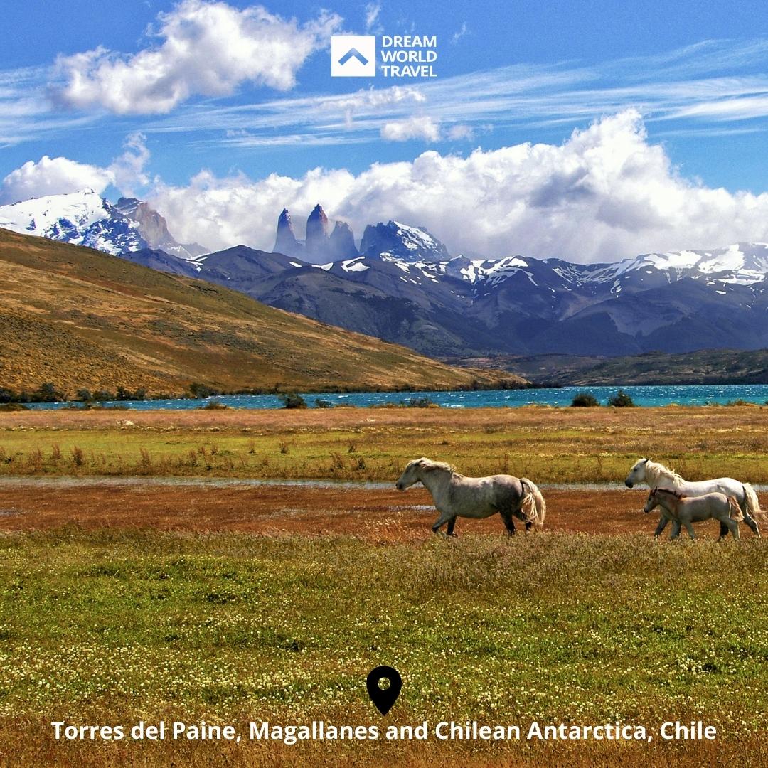 DreamWorlduk's tweet photo. Destination of the day
Torres del Paine National Park, Chile.
This place is incredibly beautiful with lakes, mountains, glaciers, and rivers spread throughout it. It is recommended to plan a visit to this place whenever you visit Chile.
#chile #destinationoftheday https://t.co/lH2EIr02xo