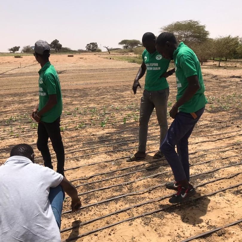 L’incubation d’entreprise de 90 jeunes (Talibépreneurs) dans la filière agro-pastorale par la Génération Saalih. Ce matin visite de terrain à Louga et aux villages environnants (Louga, Leona, keur Mbarick et Nguidile)