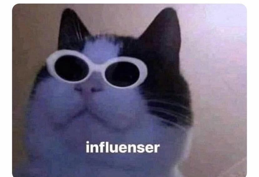 *Cuando mis memes llegan a 3 likes*

-Yo: