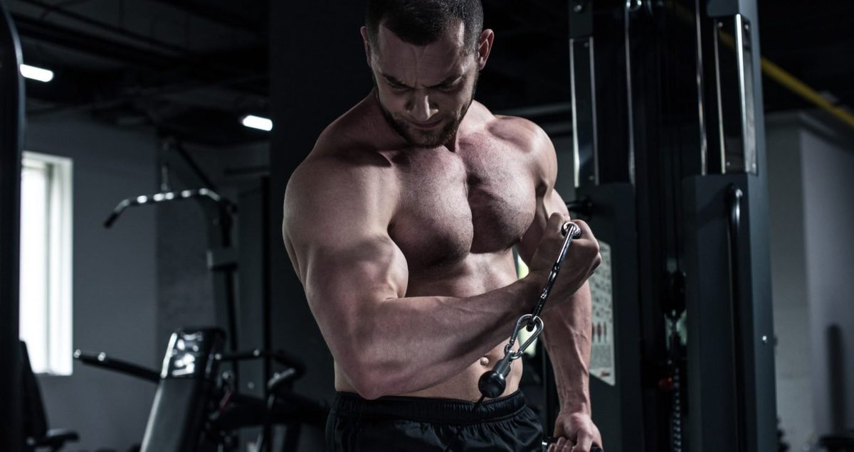GenerationIron's tweet image. How Rope Hammer Curls Enhance Those Bulging Biceps: generationiron.com/rope-hammer-cu…

#hammercurls #exercise #workout #bodybuilding #fitness #GenerationIron