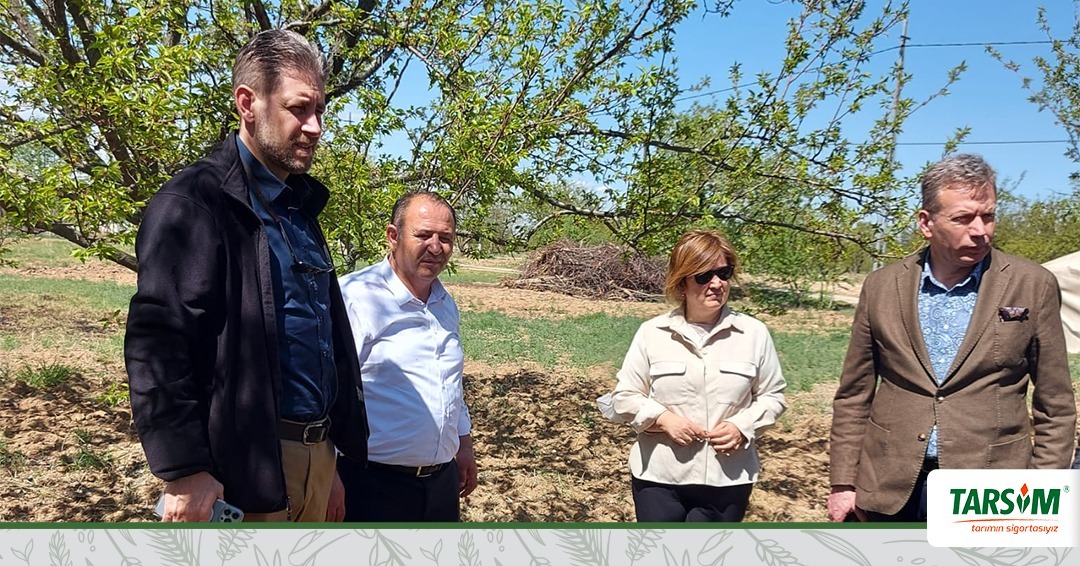 TARSİM Heyeti Malatya’daki Kayısı Hasarlarını İnceledi

TARSİM Heyeti, Malatya ve çevre illerde, 13-14 Nisan tarihlerinde meydana gelen don hadisesi sebebiyle kayısı ürününde oluşan hasarlara ilişkin incelemelerde bulunmak üzere bölgeye ziyaret gerçekleştirdi.