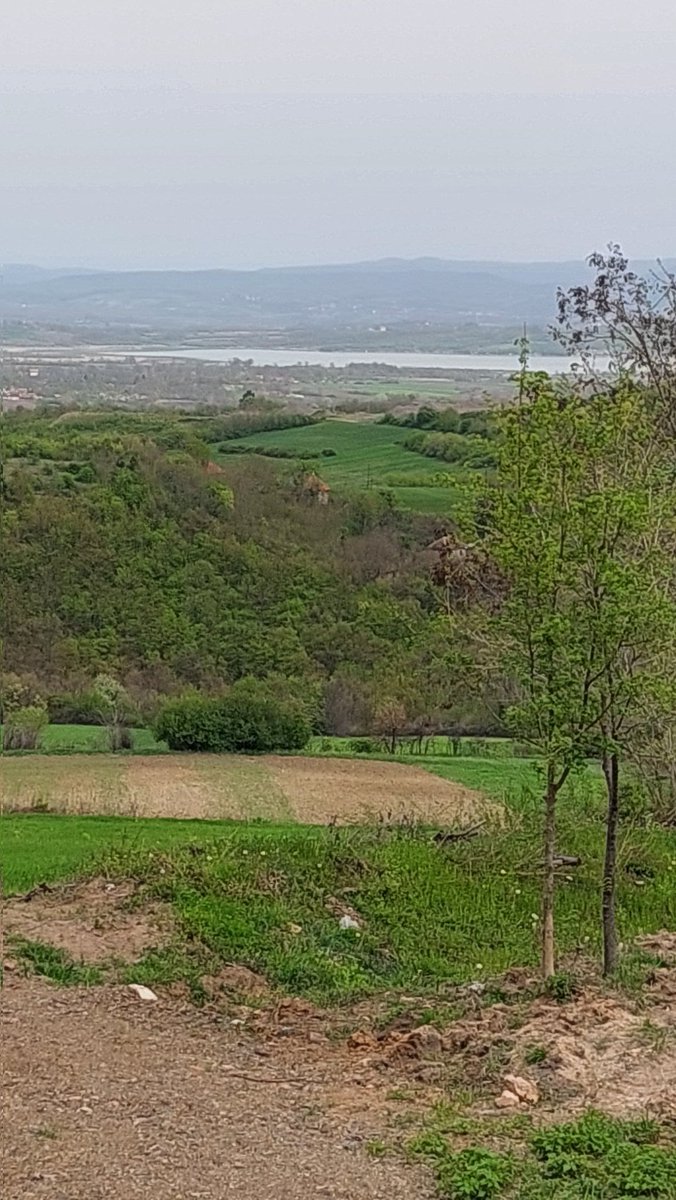 Mira (@____mirjana____) on Twitter photo 