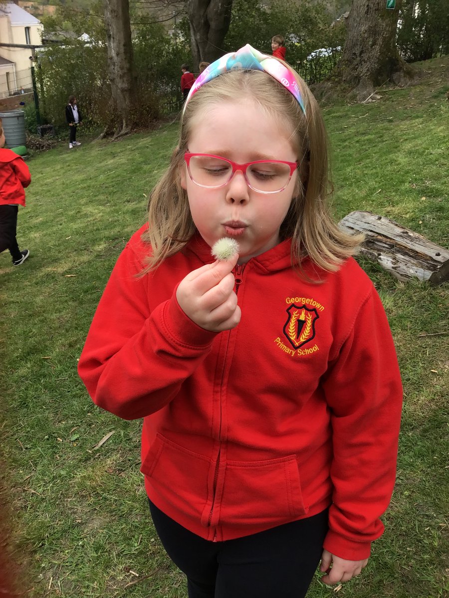 GPSMrsLEvans tweet media