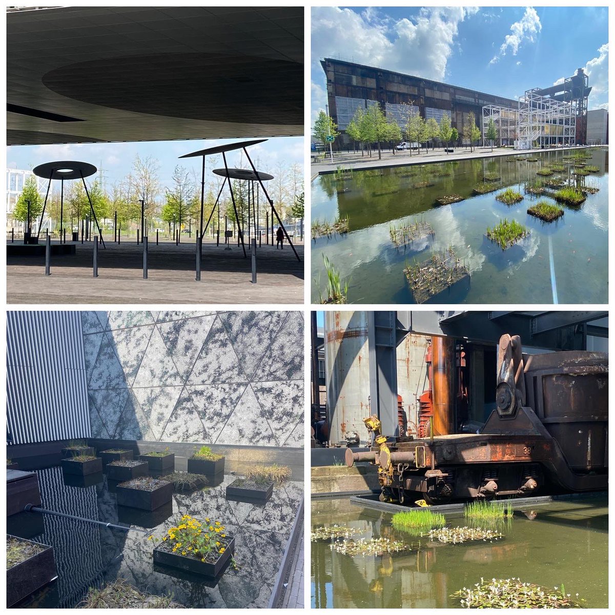 KiraStineHansen's tweet photo. Amazing transformation and new thinking of campus / library #LAG2022 https://t.co/3O3gn9A72C