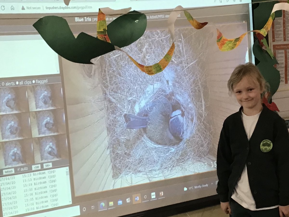 Needwood Church of England Primary School tweet media