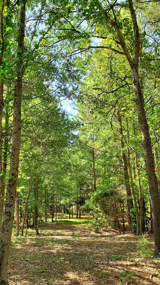 'In all your ways acknowledge Him,
And He will make your paths straight.' Proverbs 3:6 #goodmorning #FairWindsRanch #straightpaths #acknowledgehim