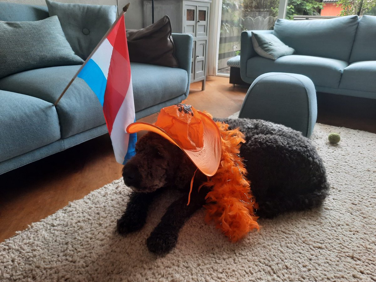 Annette Wolthers (@annettewolthers) on Twitter photo Koningsdag, onze hond is uit logeren ๐ฌโฆโฆ Koningsdag, onze hond is uit logeren ๐ฌโฆโฆ
