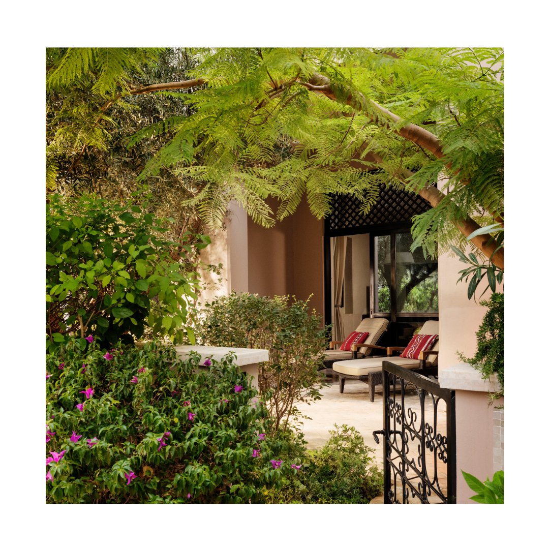 FourSeasonsMarrakech tweet media