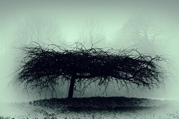 GRIDERIMAGES tweet media