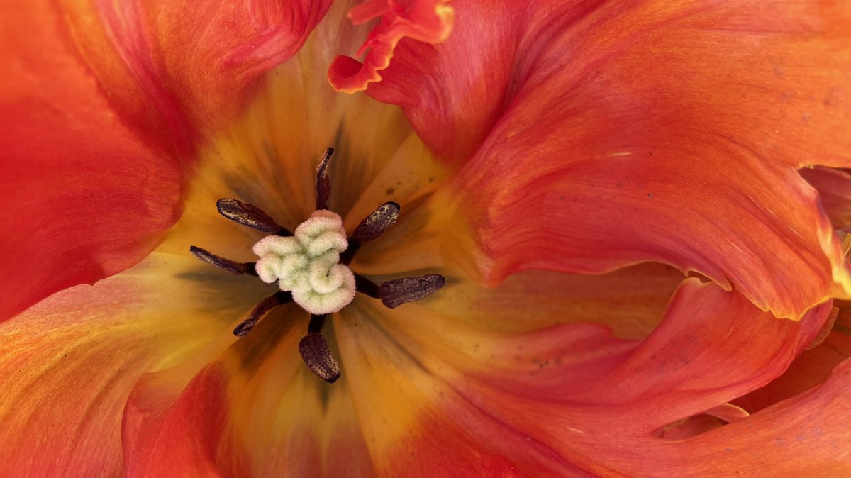 IngridDeelstra's tweet photo. Oranje boven

#koningsdag https://t.co/SWp6uKwUi8
