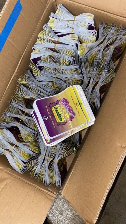 Happy_Paxx's tweet photo. 2-3X Vacuum sealed packages n free dispo 8th baggies for all gaz orders ⛽️ 💨 📦 🚀 https://t.co/n8c6U9bppS