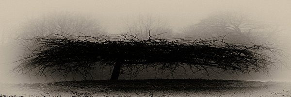 GRIDERIMAGES tweet media