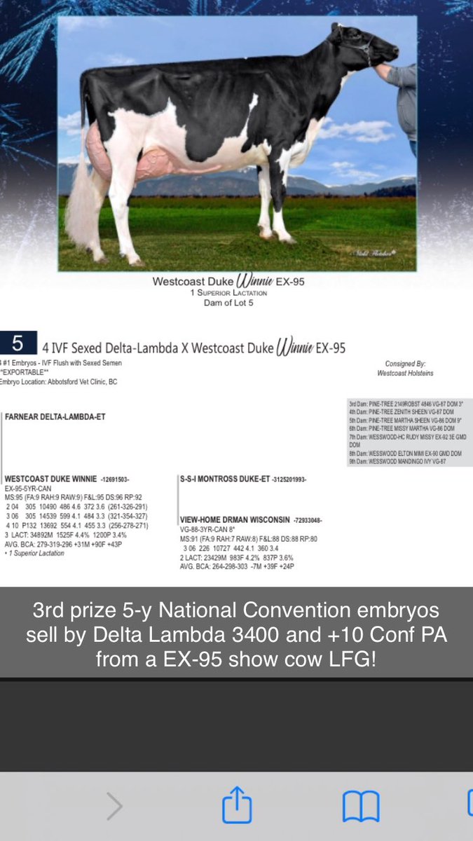 Add me on Snapchat! Username: chrislindhout t.snapchat.com/p3yyLAHB