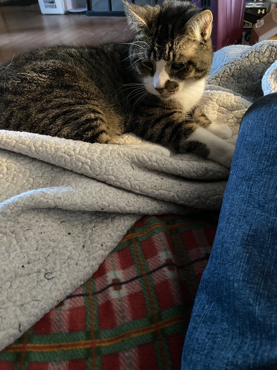 Sports Fan tweet media