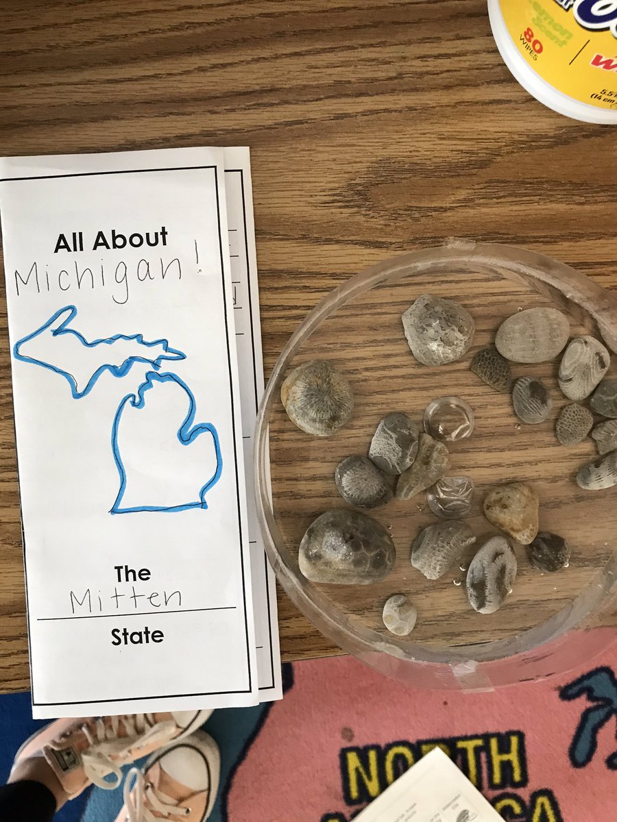 Thank you to my mom for sending us Petoskey stones from my favorite state! One step closer to getting these love bugs to be Future Michigan Wolverines!! 💛💙
