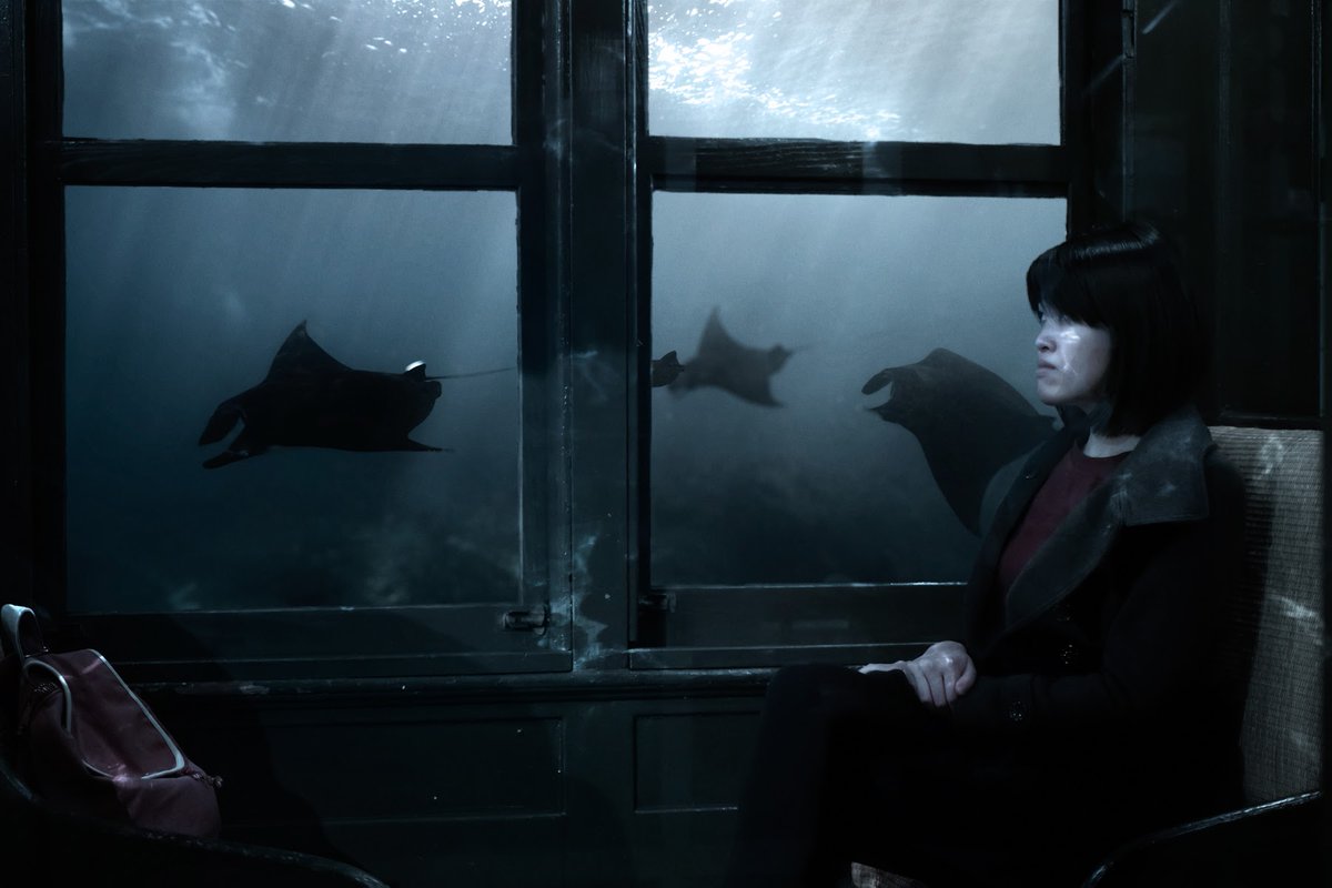 FlowingFlow's tweet image. Blue Line 🌊
This is quite an amazing route with @LagoonOut. 💙 Thank you for the journey!

📸: lagoonout.com/the-blue-line