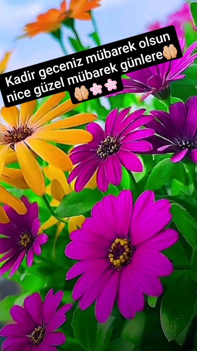 MuratMuftuoglu3's tweet photo. https://t.co/44pxy8qRBL