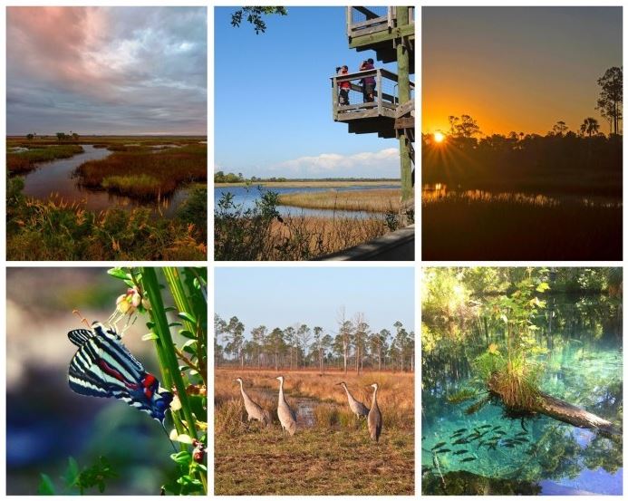 MyFWC's tweet photo. Join the scavenger hunt for #FLWildQuest on 6 Wildlife Management Areas this weekend! https://t.co/A8YKitBYRs #WMAzing https://t.co/11Fc0zjkdb