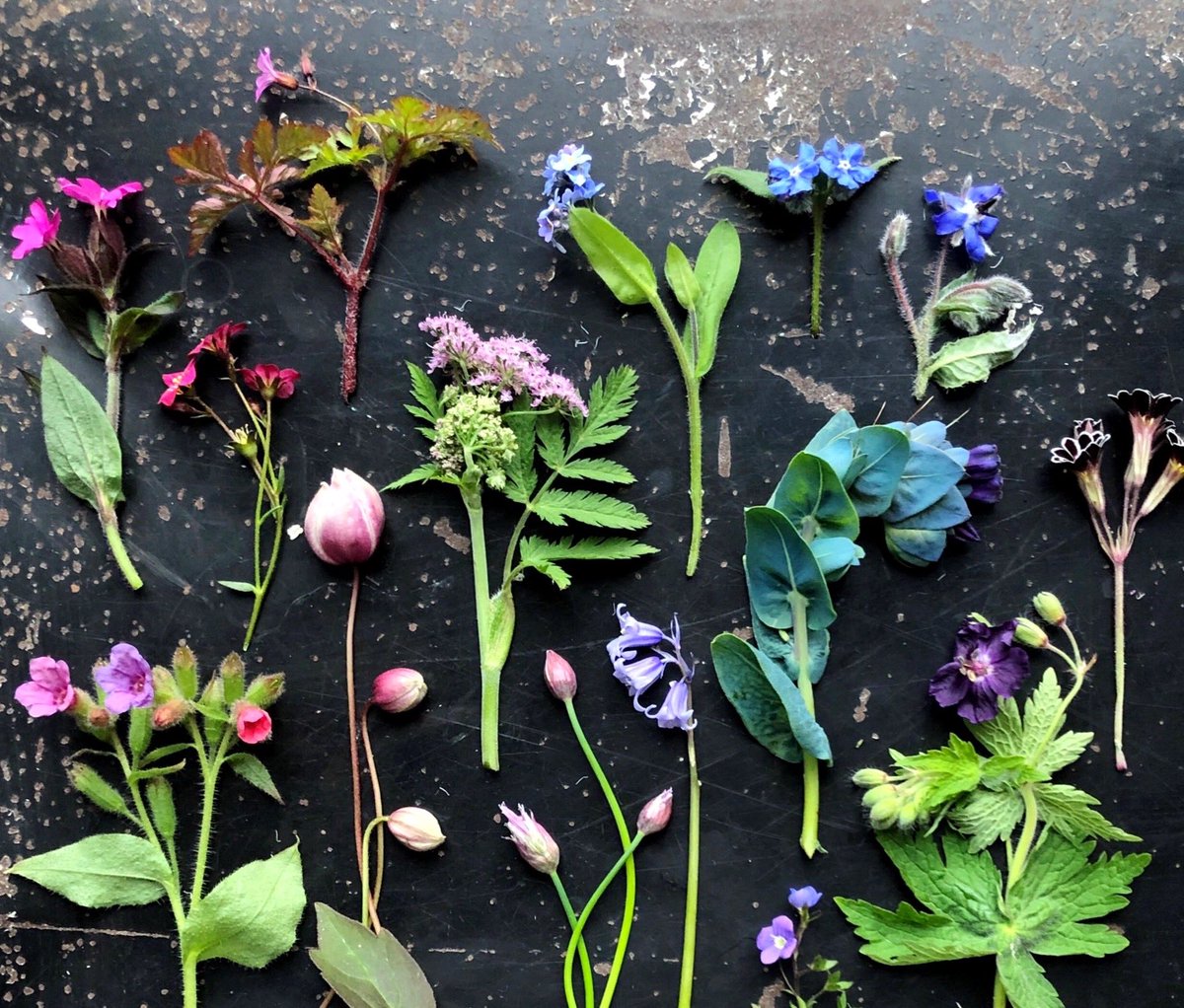 Garden palette,
late April.