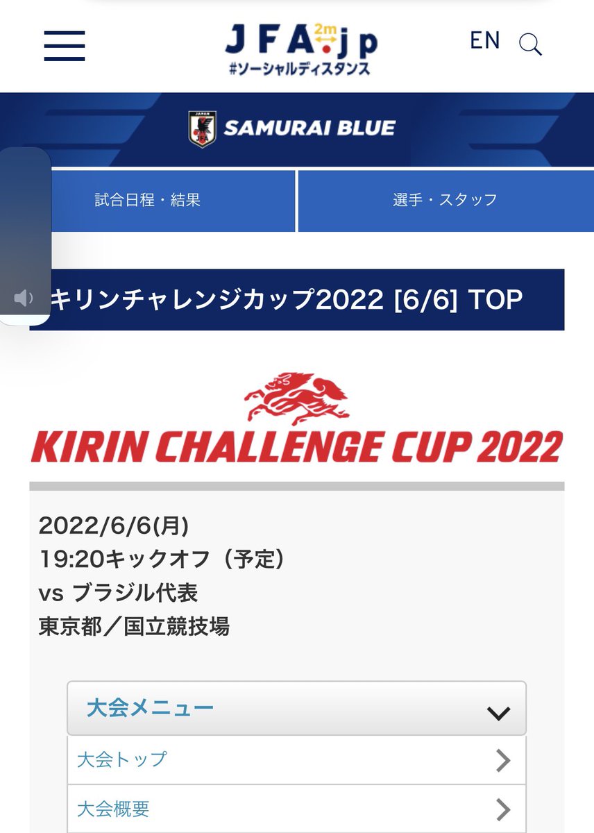 サッカー日本対ブラジルのチケットはいつから購入できる 買い方や穴場の取り方も徹底紹介 ママブログ