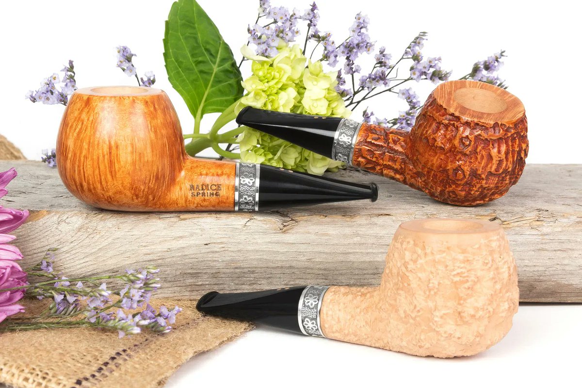 Celebrate the change of season with Radice's new limited-edition Spring pipes, showcasing a singular Apple shape of stocky proportions accented by a sterling silver band complete with floral motifs. On-site now. 
smokingpip.es/3rU9j8n
#smokingpipes #pipesmokers #radicepipes
