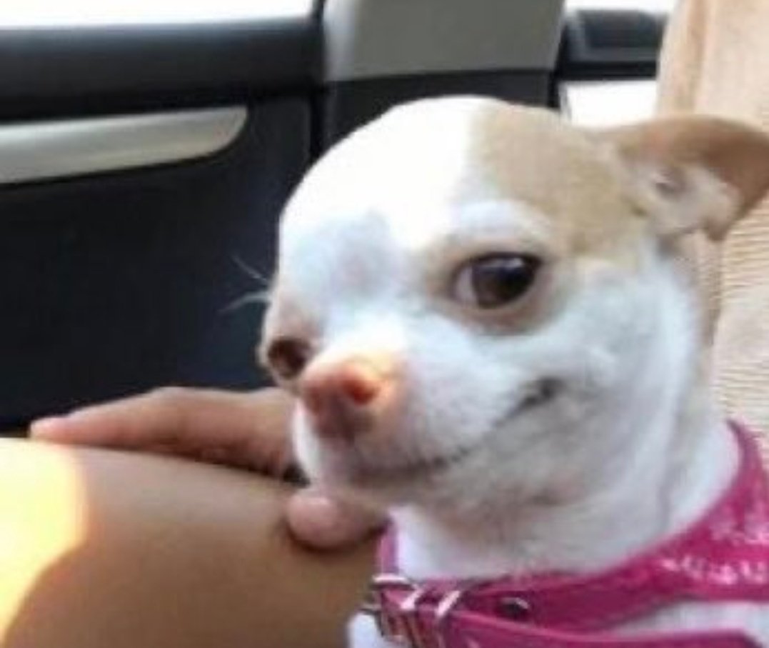 itsmy2ndday's tweet image. Gardner: I'm Nacho 
Me: And I can be the dip! 
#365daysThisDay