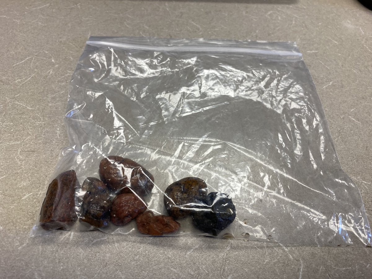 BearcatPrin's tweet photo. Just received these rocks as a gift from a Kindergartner! These are the things that I’ll miss getting by being a an elementary principal. #gifts #GivenwithLove @KSPrincipals @NAESP https://t.co/eBdhY087il