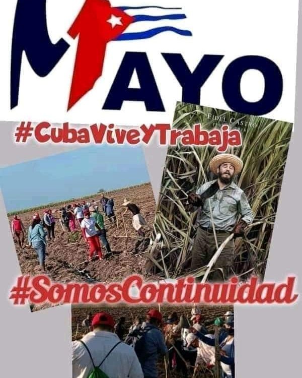 KrlosDKrlos's tweet photo. #CubaViveYTrabaja unida por un futuro mejor y este #1Mayo #VamosConTodo #AbajoElBloqueo https://t.co/kj8J7fex0Q