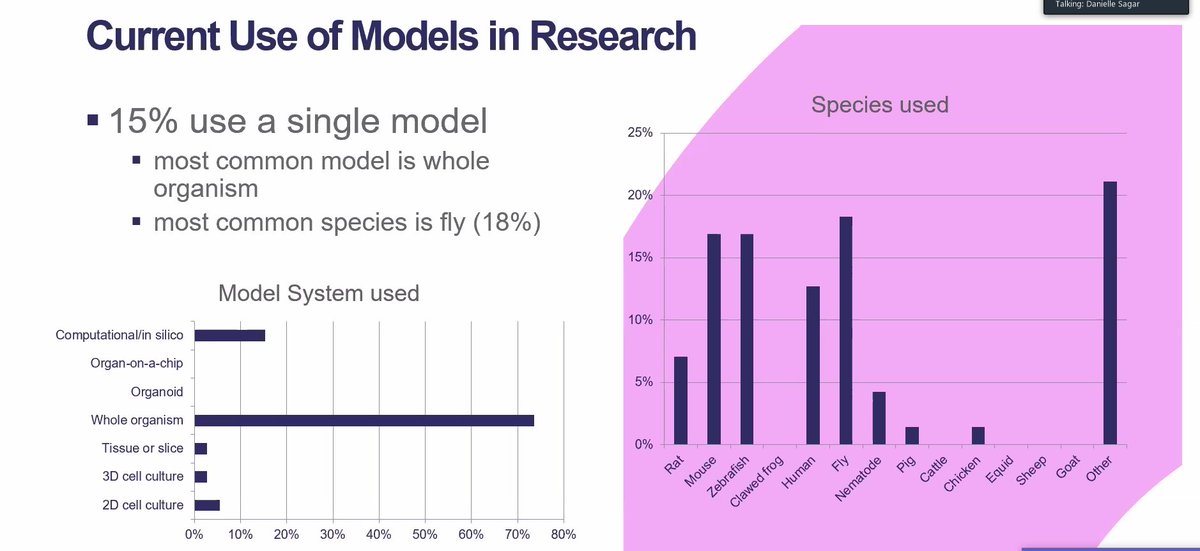 PhySoc's tweet photo. #DYK that 15% (of respondents) use a single model and the most common choice of model is the fly, followed by mouse and zebra fish - says Dr Danielle Sagar of @BBSRC at UKRI 
#ExperimentalModels https://t.co/e6j2NYKl4F