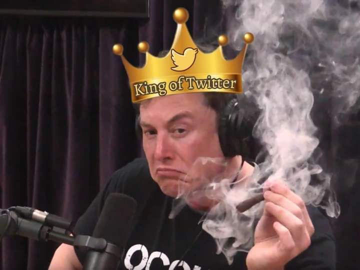 Welcome to our new overlord