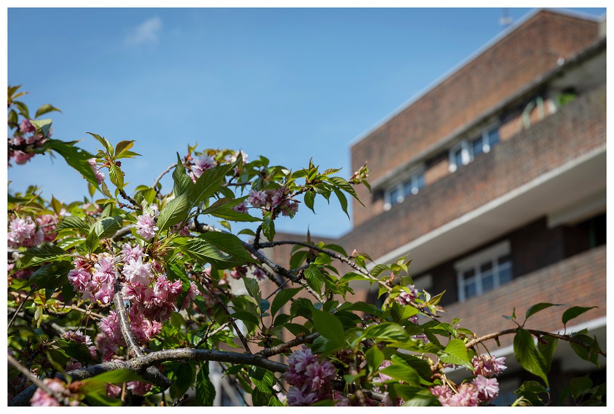 sammellishphoto's tweet photo. Some recent work for @lambeth_council capturing parks, public spaces and iconic buildings across the South London Borough.

#LoveLambeth #ShootLocal #canon https://t.co/qKr63Gvpxa
