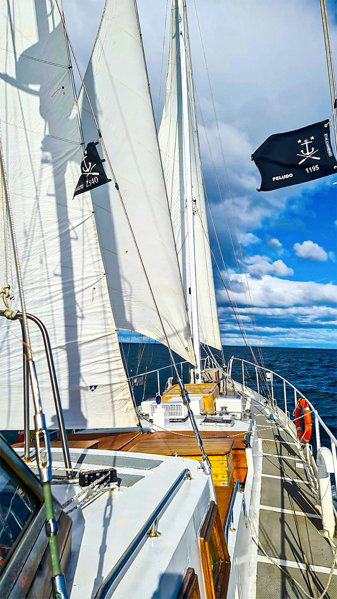 Alegría Marineros!!
Navegamos rumbo a Chiloé Norte
⬇️⬇️ El diario del Capitán ⬇️⬇️
alegriamarineros.com/llegando-a-chi…

#velero #sea #sailing #navegar #mar #sailboat #barco #boat #sail #travel #sailinglife #náutica #antartida #viajes #vela #viajar #viajarporelmundo #aventura