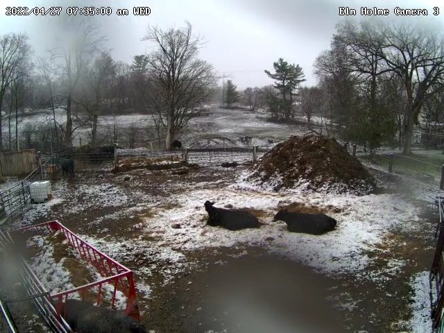 4045chad's tweet photo. I know the pharmaceutical companies are busy making record profits but would someone please halt production for a few minutes to get mother nature back on her medication! https://t.co/xywLNYCpGY
