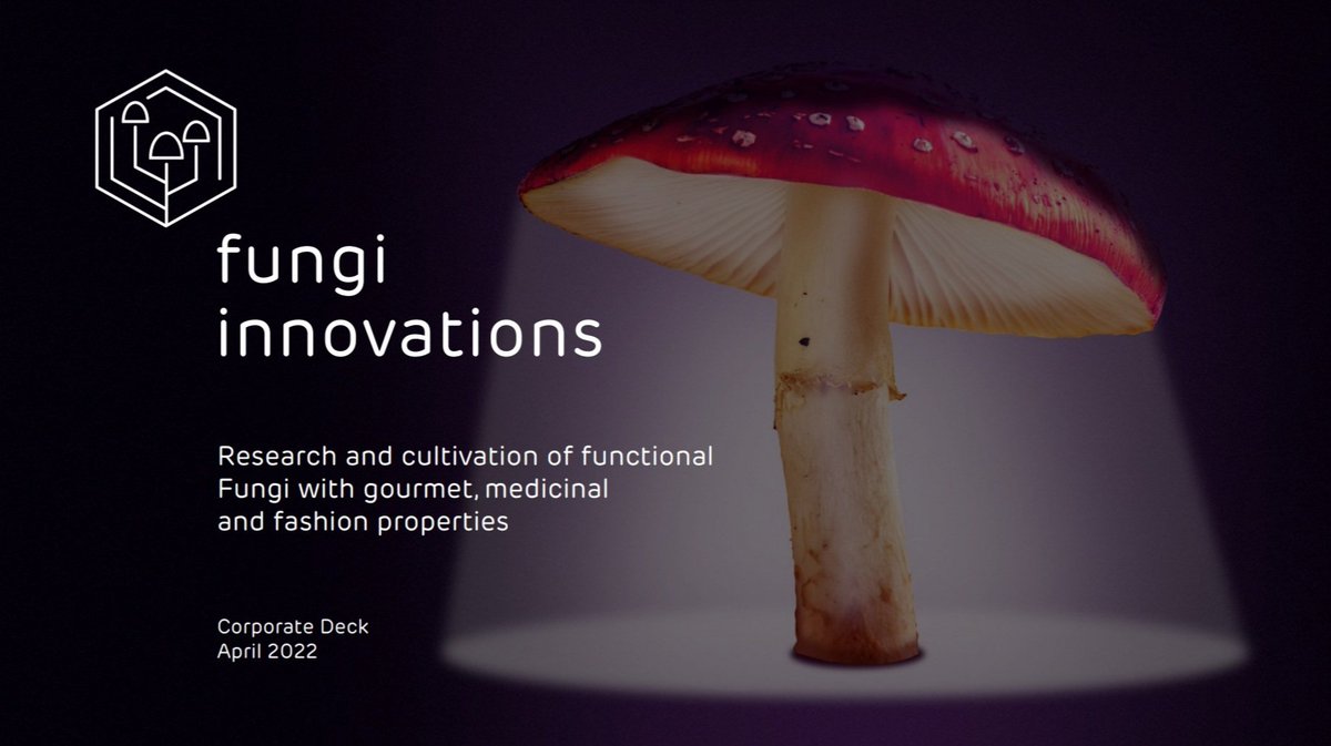 mpodaril's tweet photo. @elkingtonxy We have just started to do #fungiinnovations. Would you be Interested? https://t.co/RyMfqyks79