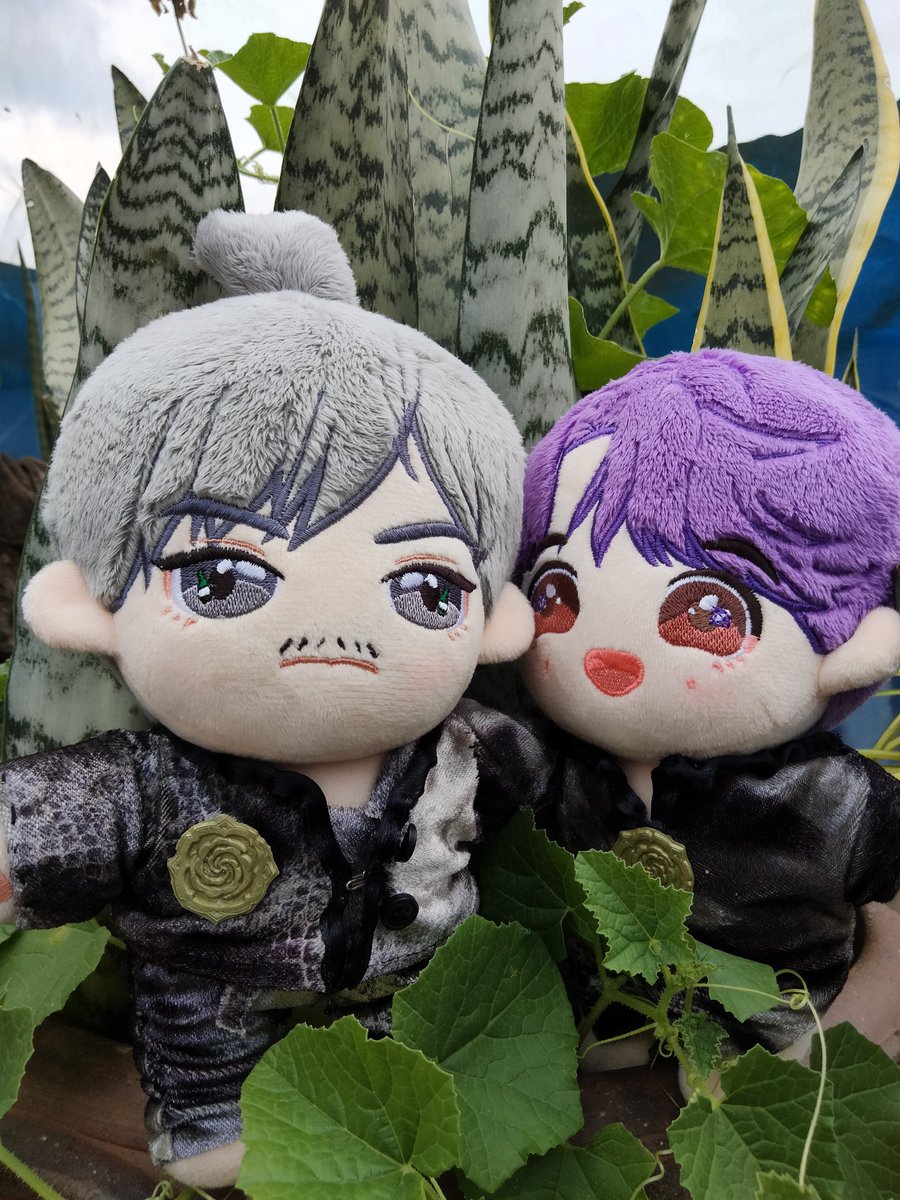 s_api18's tweet photo. พาพี่โจวกะน้องจูมาเที่ยว~🥰 ฟาร์มกระบองเพชรของญาติ 🦁🐷  #zhoujin #โจวจิ่น #หวังอี้โจว #จูจ้านจิ่น #Zhuzanjin #WangyiZhou https://t.co/vSTGoX4oP9